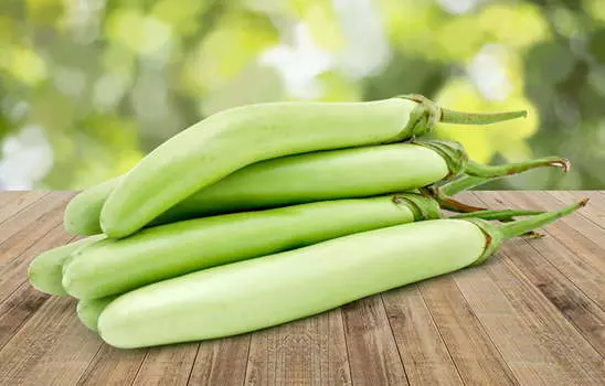 Баклажан Зелёная энергия F1