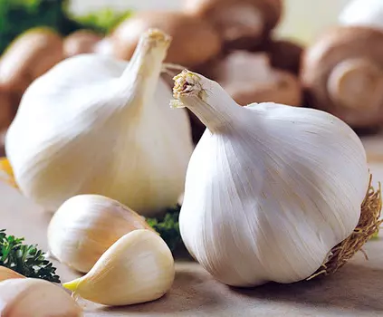 Чеснок озимый Сибирский