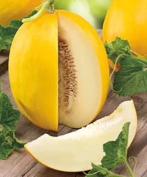 Дыня Бриллиант F1