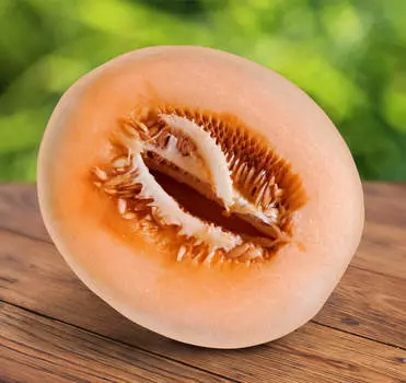 Дыня Фестиваль оранж