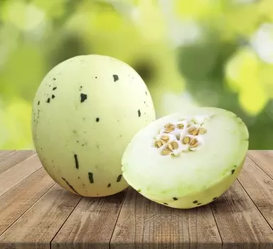 Дыня Фестиваль зелёный