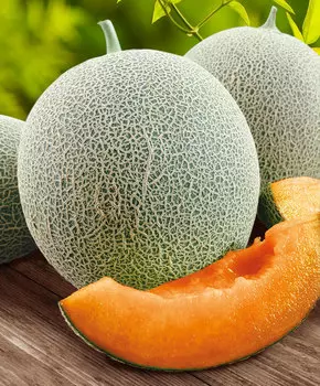 Дыня Карамель F1