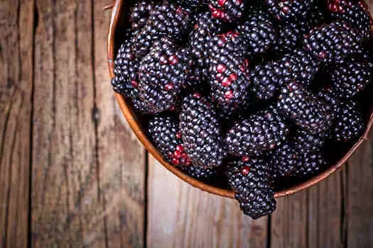 Ежевика Блэк Джем