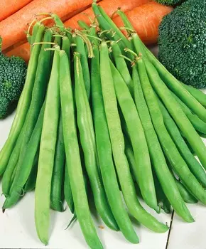 Фасоль Паулиста F1