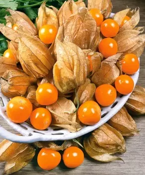 Физалис Фонарики