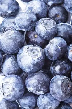 Голубика Дениз голубая