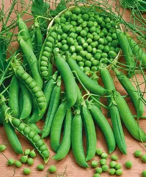 Горох Бартеса