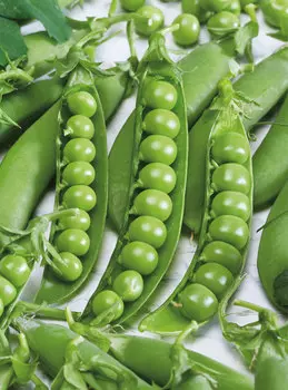 Горох Бутана