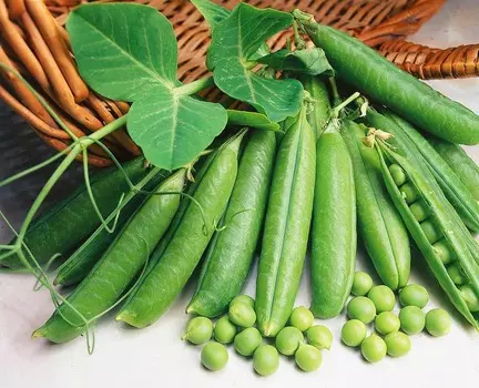 Горох Самый ранний F1