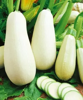 Кабачок Ариэль F1