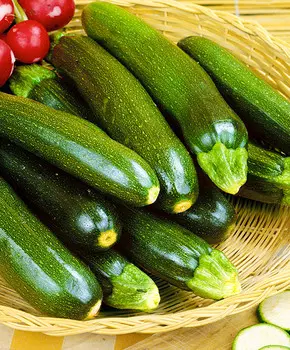 Кабачок Лёгкий сбор Зелёный