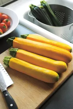 Кабачок Лёгкий сбор Золотой