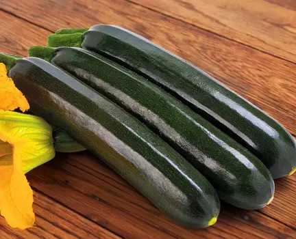 Кабачок Сальвадор F1