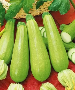 Кабачок Сверхранний F1