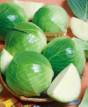 Капуста белокочанная Элиза F1