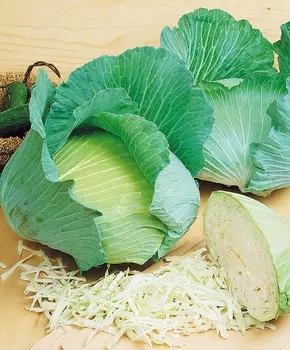 Капуста белокочанная Победа F1