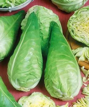 Капуста белокочанная Сонсма F1