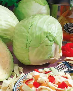 Капуста белокочанная Суприм вантаж F1