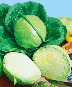 Капуста белокочанная Зенон F1