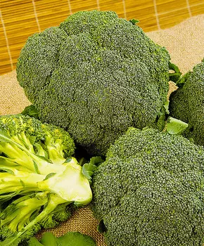 Капуста брокколи Монако F1