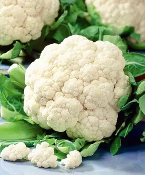 Капуста цветная Амстердам F1