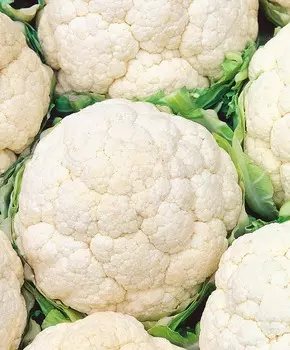 Капуста цветная Кашмир F1