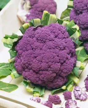 Капуста цветная Меллиха F1