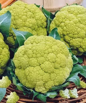 Капуста цветная Витаверде F1