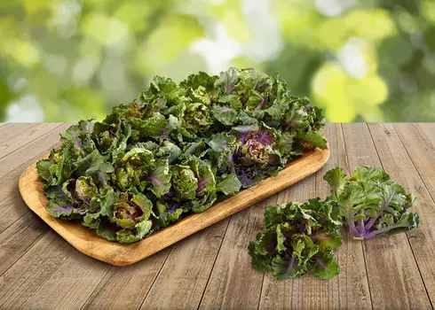 Капуста кейлетс Отамн Стар