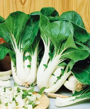 Капуста китайская Пак Чой F1