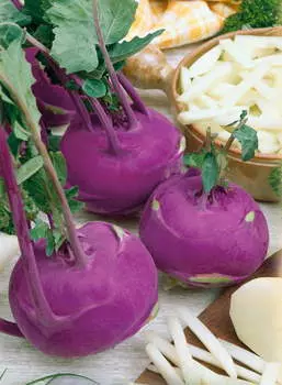 Капуста кольраби Гигант F1