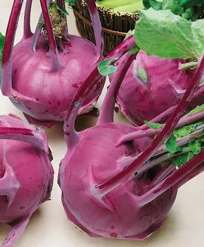 Капуста кольраби Укза F1