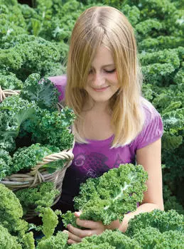 Капуста листовая Рефлекс