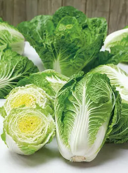 Капуста пекинская Эндуро