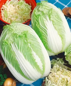 Капуста пекинская Юки F1