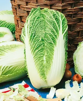 Капуста пекинская Морило Сторидо F1