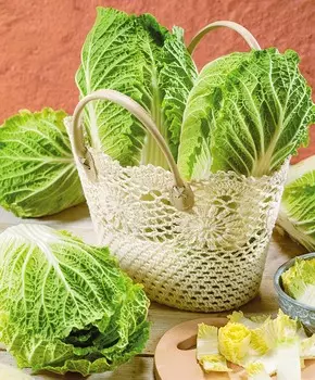 Капуста пекинская Ричи F1