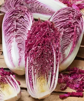 Капуста пекинская Закат в Пекине F1