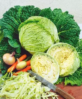 Капуста савойская Золотая ранняя F1