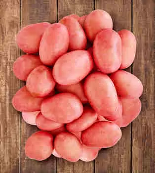 Картофель Хозяюшка