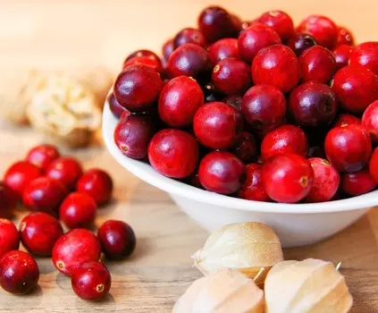 Клюква Черная ранняя