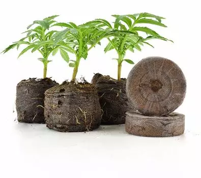 Комплект торфяных таблеток