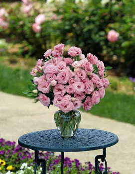 Лизиантус АВС Насыщенно-розовый