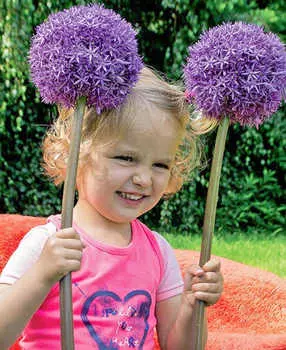 Лук декоративный Мастер