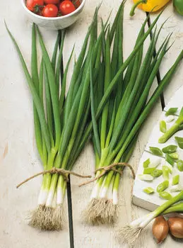 Лук на зелень Кайгаро