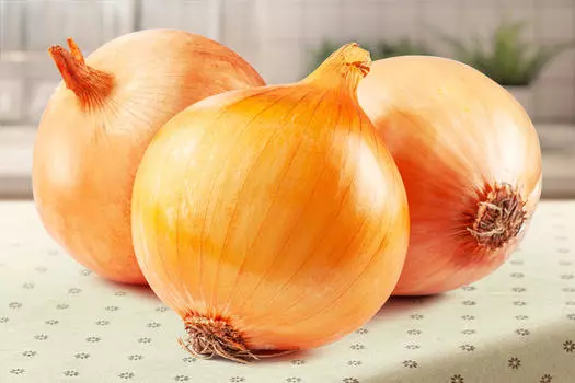 Лук семейный (шалот) Голден Гурмэ