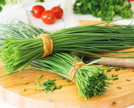 Лук-шнитт Медонос