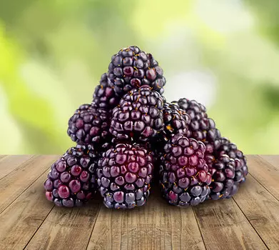 Малино-ежевичные гибриды Бойсенберри