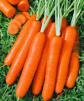 Морковь Романс F1
