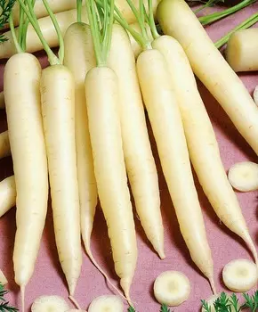 Морковь Вайт Сатин F1